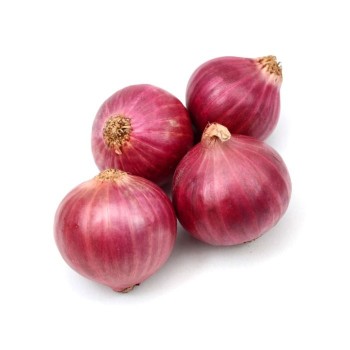 Onion india